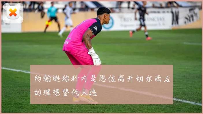 约翰逊称科内是恩佐离开切尔西后的理想替代人选