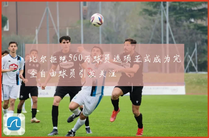 比尔拒绝560万球员选项正式成为完全自由球员引发关注